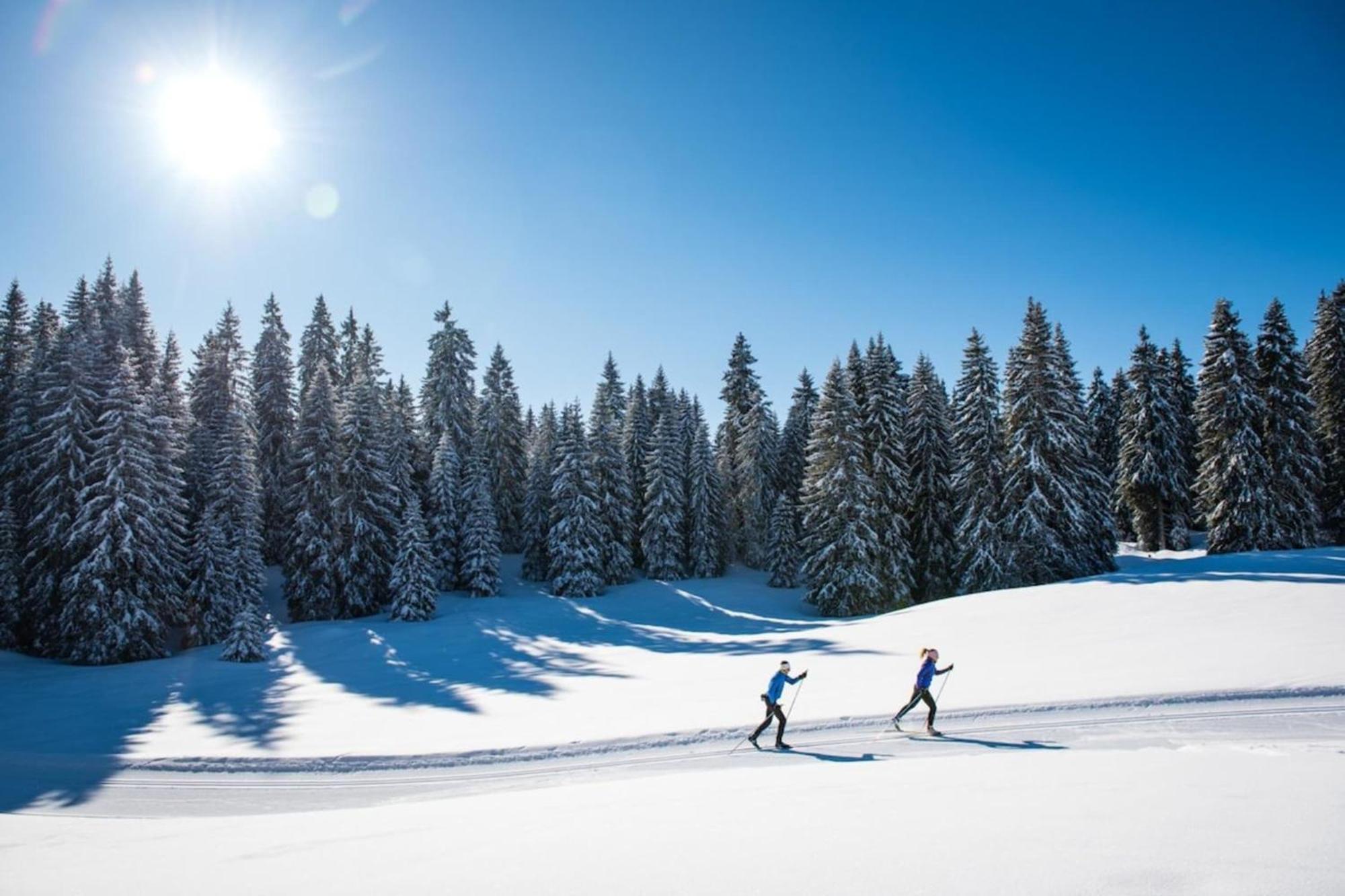 Superbe Appartement Au Pied Des Pistes -Le Chamois Les Déserts Buitenkant foto